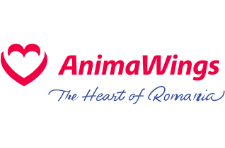 Companie Aeriană Oficială animawings