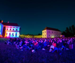Cine-concert Metropolis - foto Nicu Cherciu